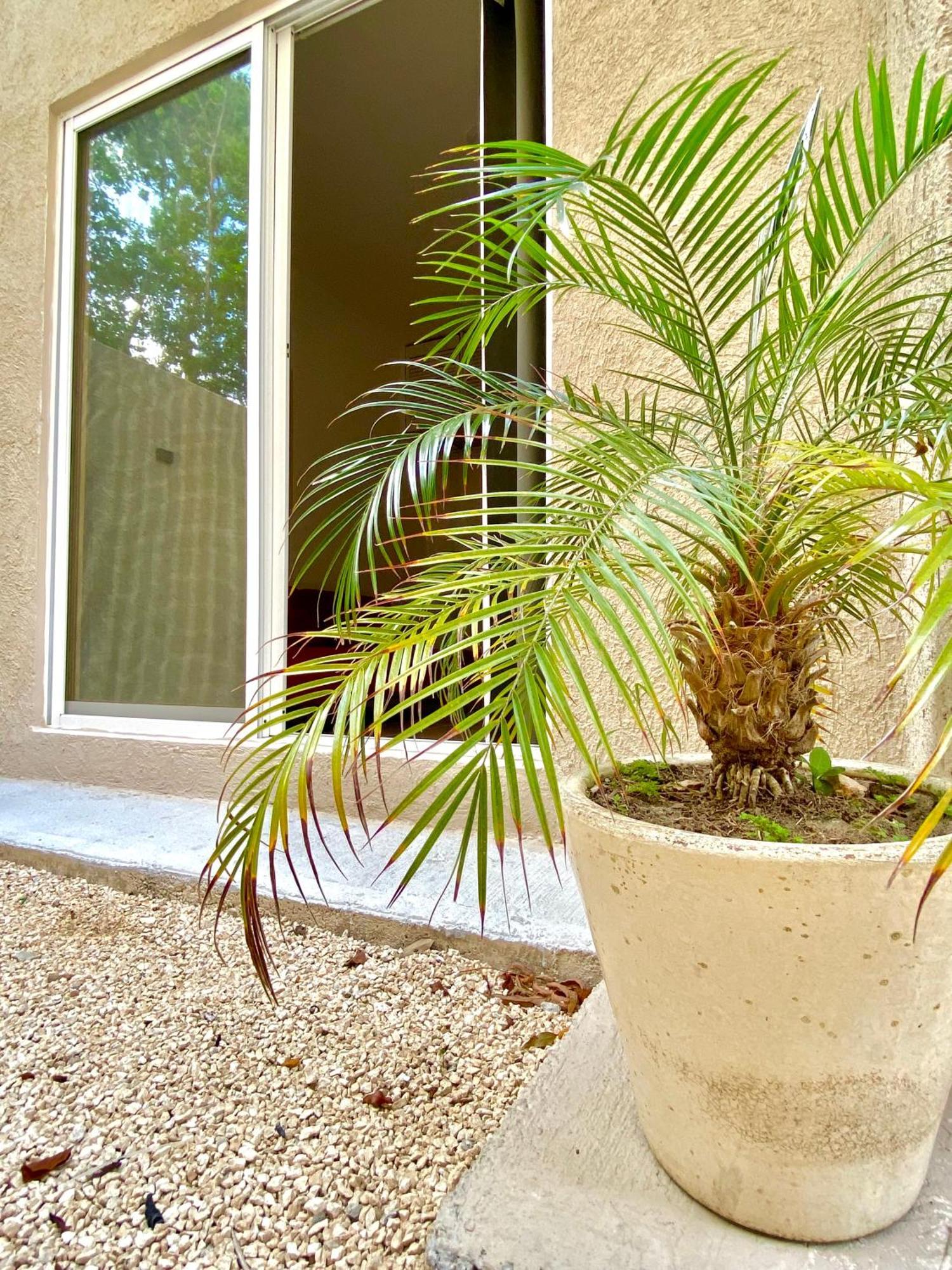Appartamento Casa Etna Cancún Esterno foto